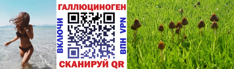 наркошоп  shop официальный сайт  Галлюциногенные грибы MAGIC MUSHROOMS  Горно-Алтайск 