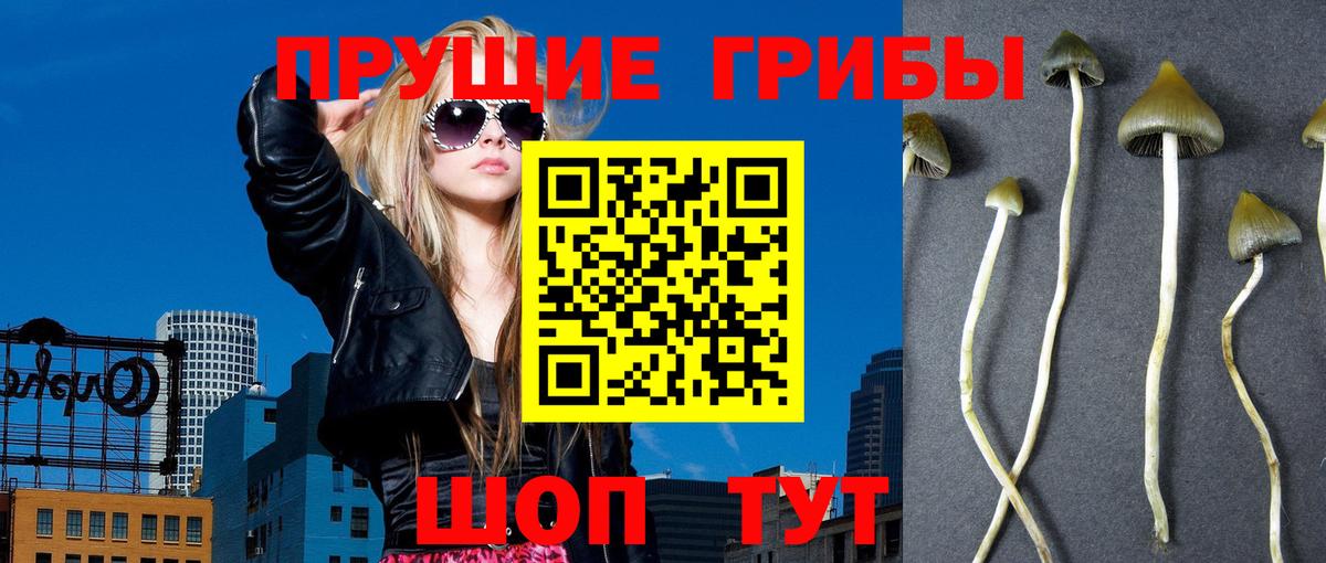 Горно-Алтайск  Псилоцибиновые грибы ЛСД  сколько стоит  Галлюциногенные грибы Psilocybe  Вход с VPN 