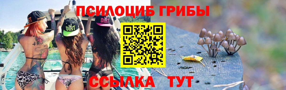 Псилоцибиновые грибы Magic Shrooms  Горно-Алтайск 