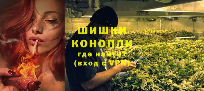 Бошки марихуана OG Kush  наркотики  Горно-Алтайск 